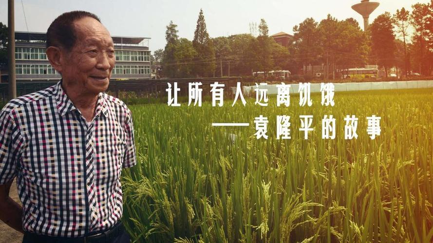 国内借卵试管代怀过程【国内借卵试管代怀全过程详解】