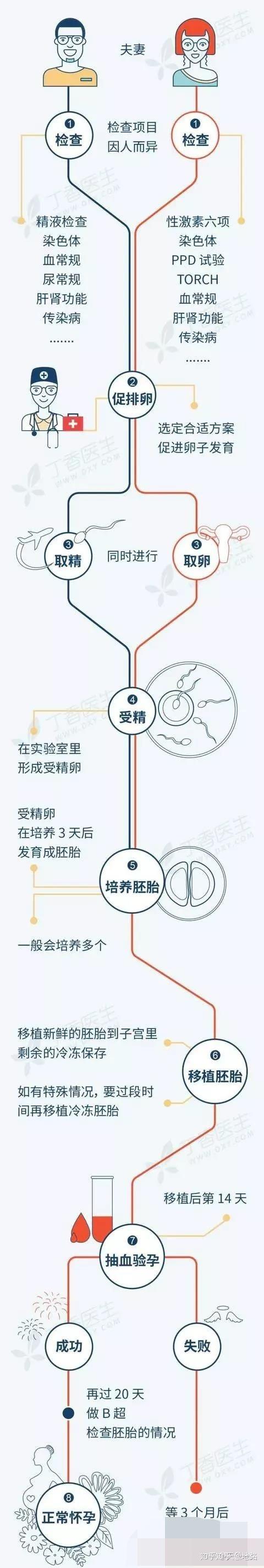 借卵怀孕可以吗【借卵怀孕是否合法?】