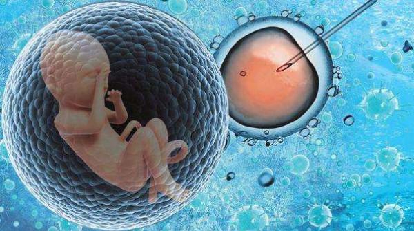 供卵试管代怀产子-供卵试管代怀产子:现代科技助力实现生育梦想