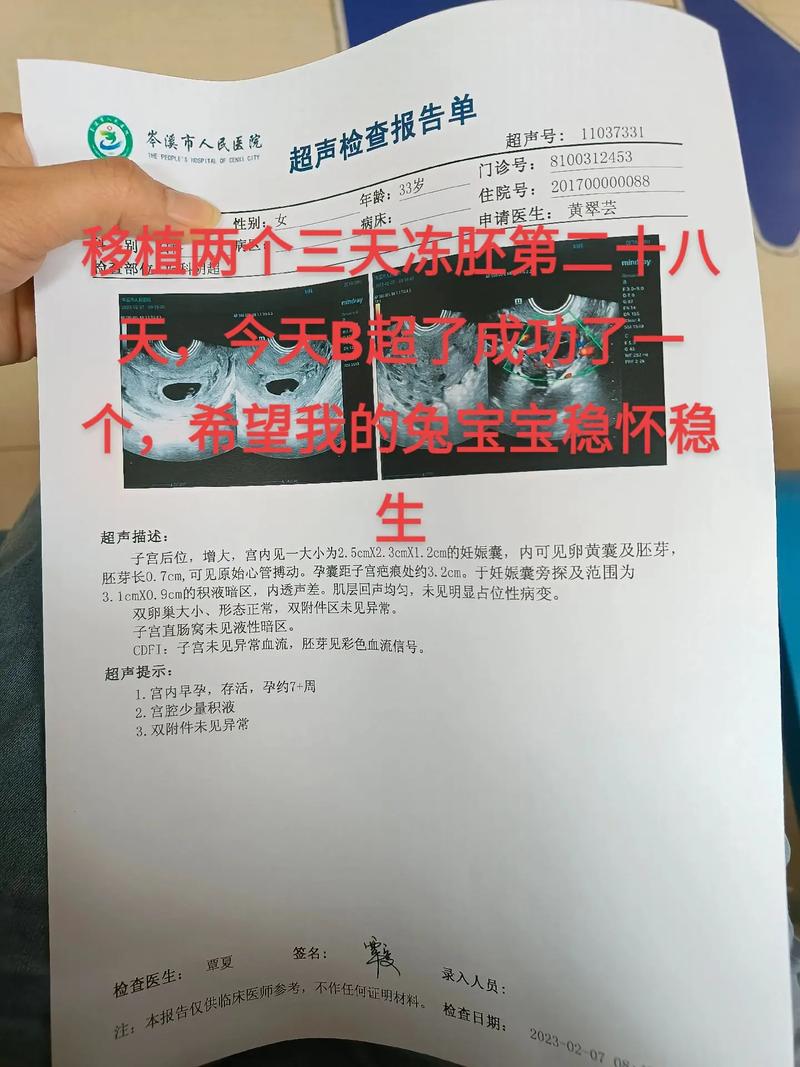 借卵试管代怀地址(借卵试管代怀地址:新选择,新生命)
