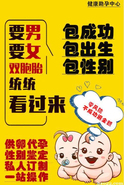 借卵试管代怀机构(借卵试管代怀机构:助您圆梦成为父母)