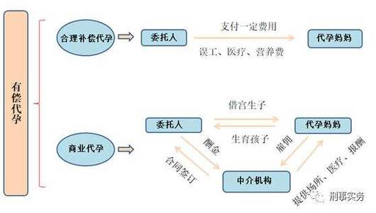 借卵试管代怀多少费用-借卵试管代怀费用多少?
