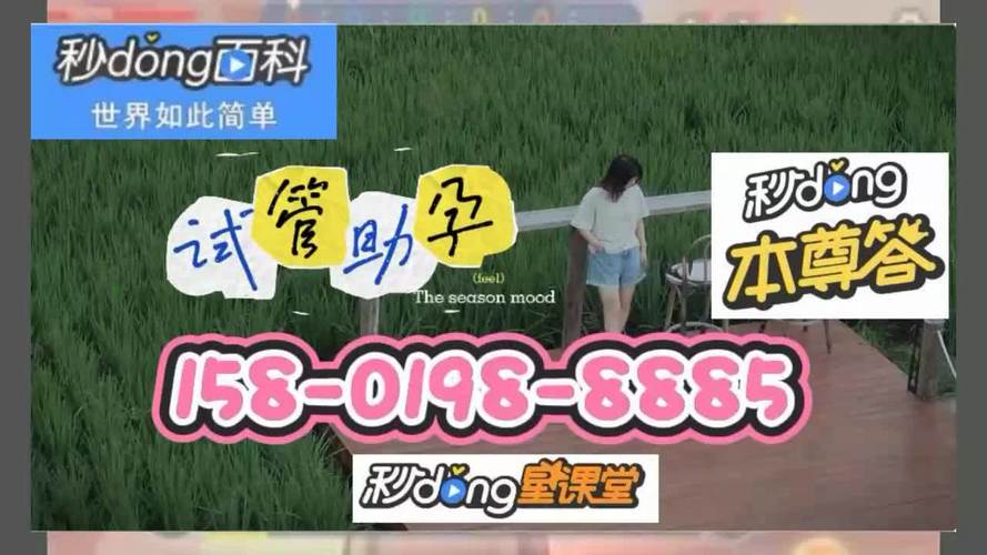 借卵试管代怀协会_借卵试管代怀协会:助力生育梦想的支持与服务