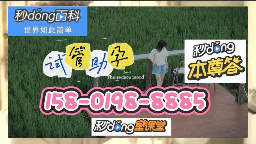 借卵试管代怀中心【借卵试管代怀中心:助您实现梦想】