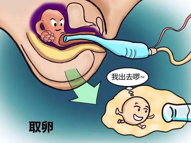 借卵试管代怀包性别_借卵试管代怀包性别:选择生育性别的新方式