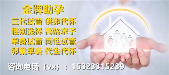 供卵试管代怀选性别-供卵试管代怀:选择宝宝性别的全新方式